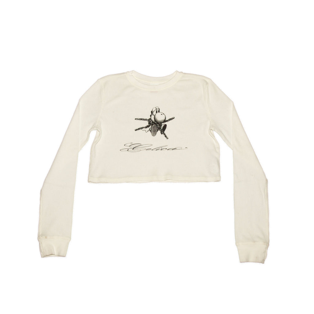 Cropped Yoshi Thermal