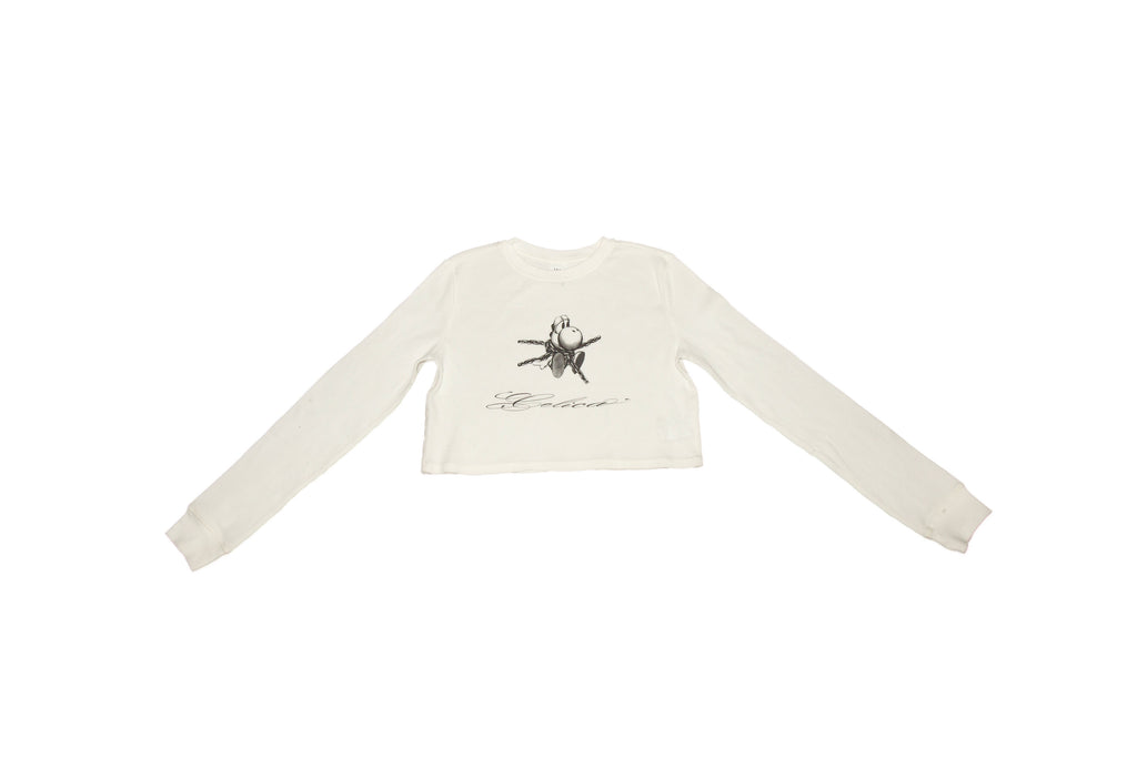 Cropped Yoshi Thermal